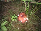 20120608140359-9667ca87