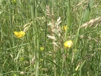 20120612160402-a4edf00f