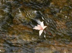 20120712081505-7d62fa7a (7979 visites) 20120712081505-7d62fa7a