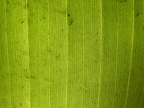 20120712082527-c1a1df71
