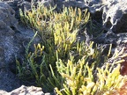 20120712082851-b8dcd545
