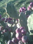 20121209085430-b4bcd017