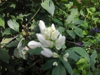 20130608 160041